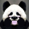 cxydevelop@163.com